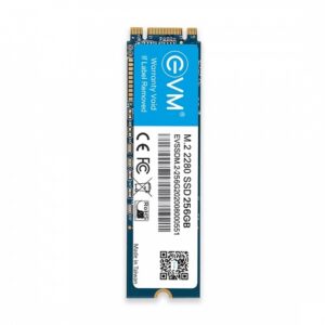 EVM 256GB M.2 (2280) SSD For Desktops and Laptops ( EVMM2/256GB )