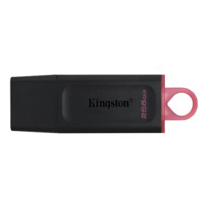 Kingston DataTraveler Exodia 256GB USB 3.2Flash Drive Pen Drive ( DTX/256GB )