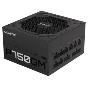 Gigabyte P750GM 750 Watt 80 Plus Gold Fully Modular PSU ( GP-P750GM )