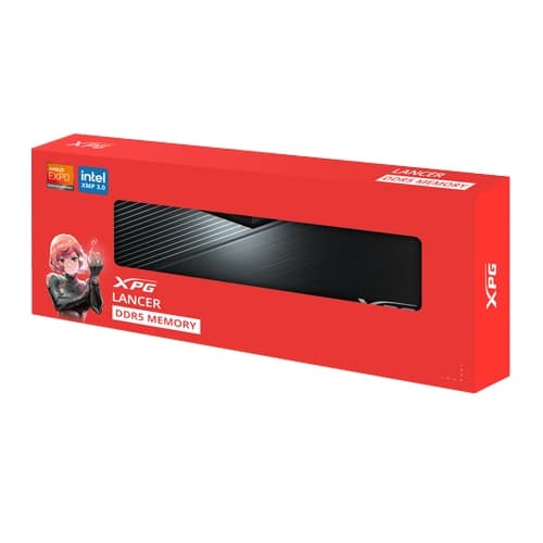 AX5U5600C4632G-CLABK.