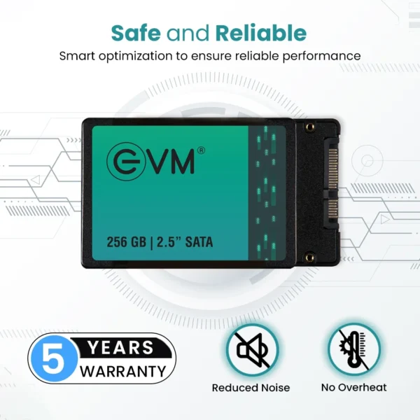 EVM 256GB 2.5-Inch SATA 3D TLC NAND Flash Fast Performance Internal SSD ( EVM25/256GB ) - Image 5