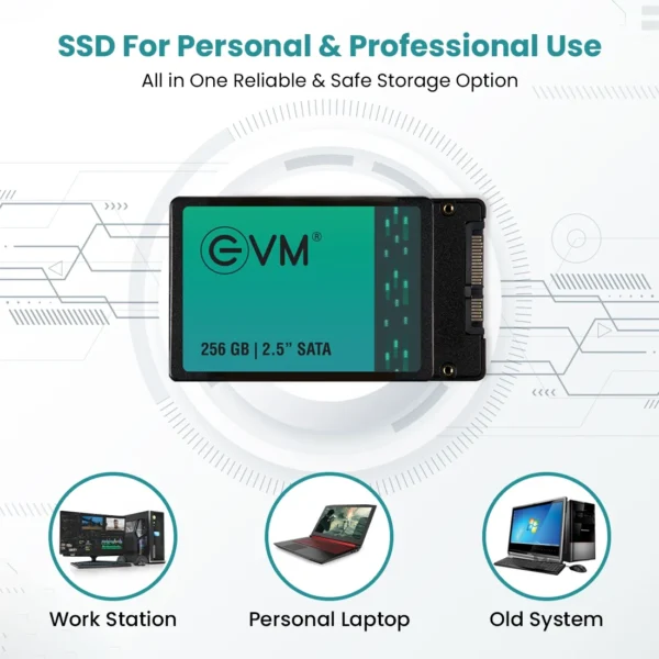 EVM 256GB 2.5-Inch SATA 3D TLC NAND Flash Fast Performance Internal SSD ( EVM25/256GB ) - Image 6