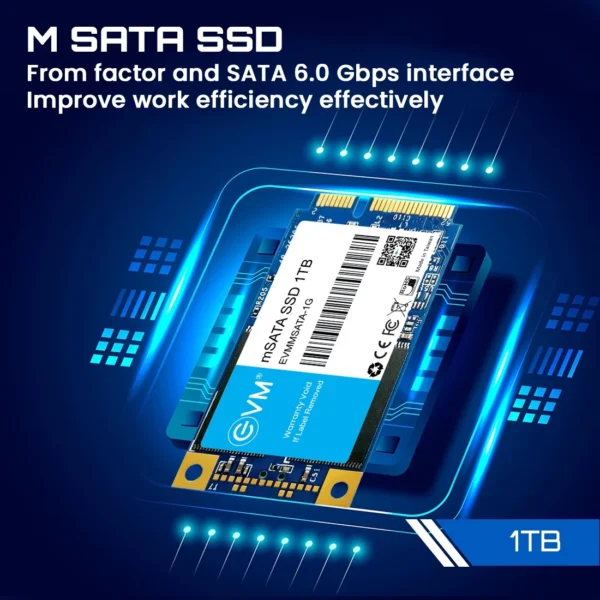 EVM 1TB mSATA SATA 6.0 Gbps interface NAND FLASH 3D TLC Internal SSD ( EVMMS/1TB ) - Image 2