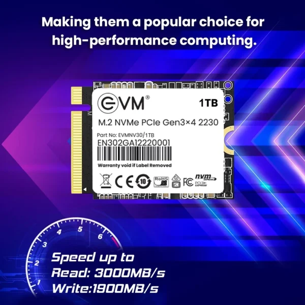 EVM 1TB M.2 NVMe 2230 Pcle Gen 3x4 3D NAND Internal SSD ( EVMNV30/1TB ) - Image 3
