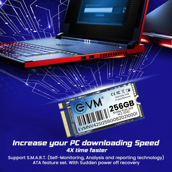 EVM 256GB M.2 NVME 2242 Pcle Gen 3x4 3D NAND Flash SATA III 6Gb/s Internal SSD ( EVMNV42/256GB ) - Image 4