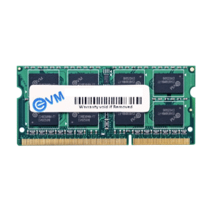 EVM 24GB DDR5 Laptop RAM ( EVMT24G5600S86P )