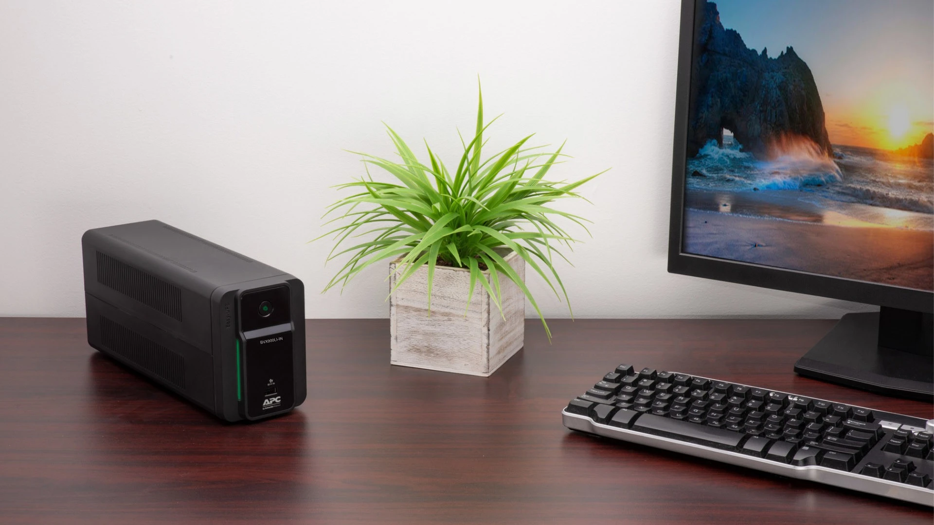APC Easy BVX900LI-IN 230 V Line-interactive Tower Model UPS with Overload Protection 4 Outlet Plugs - Image 3