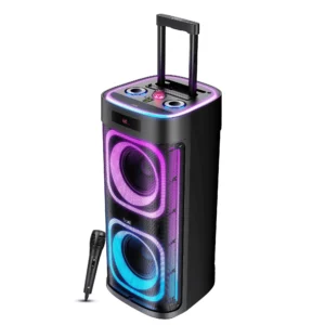 boAt PartyPal 700 Premium Black 300W Sound RGB Lights Bluetooth Speaker